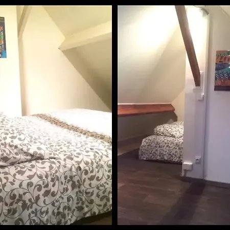 Cosy Chic 3 *